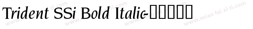 Trident SSi Bold Italic字体转换